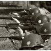 mg 715